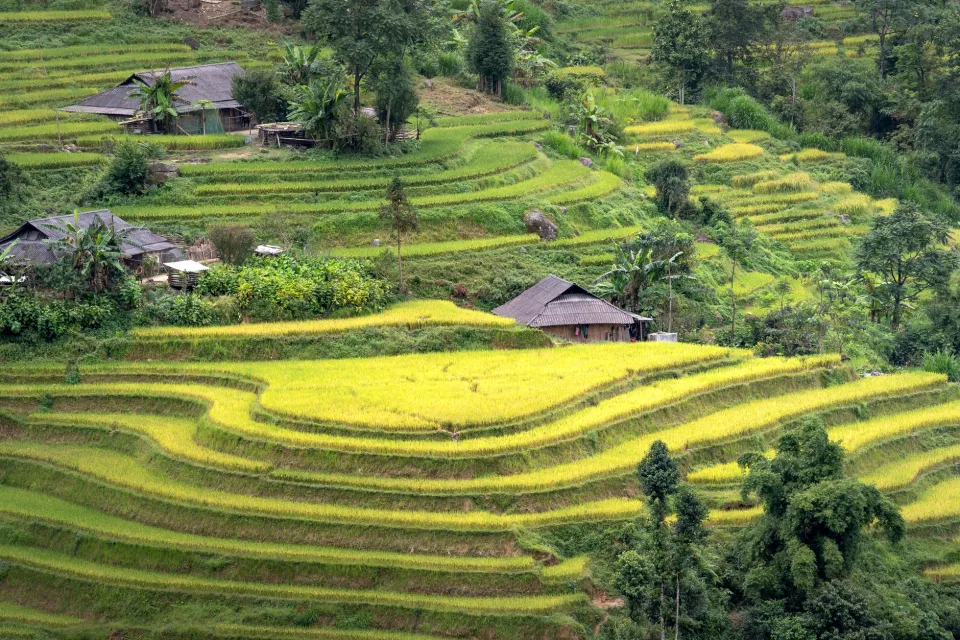 Kho gạo của Vương Thị Lưu
